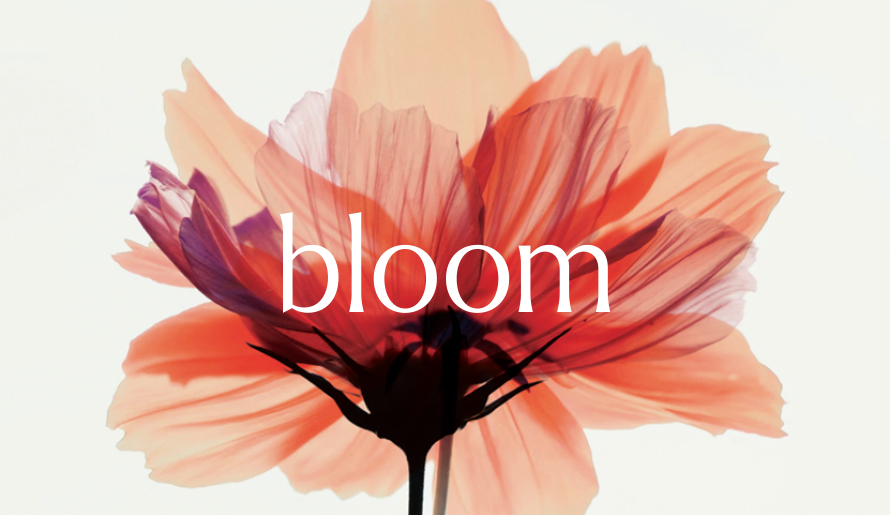 Bloom