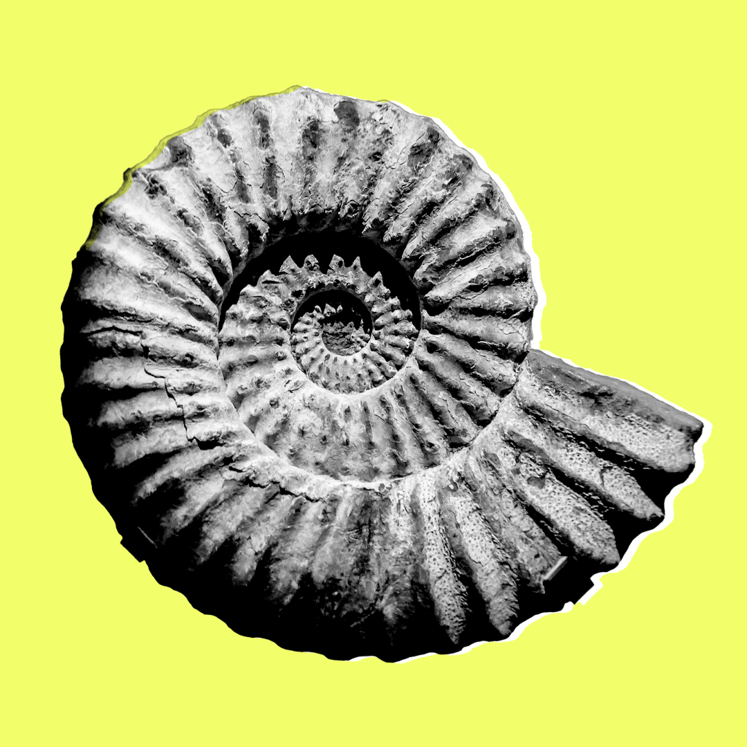 Spiral